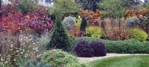 clipped-evergreens-and-perennials